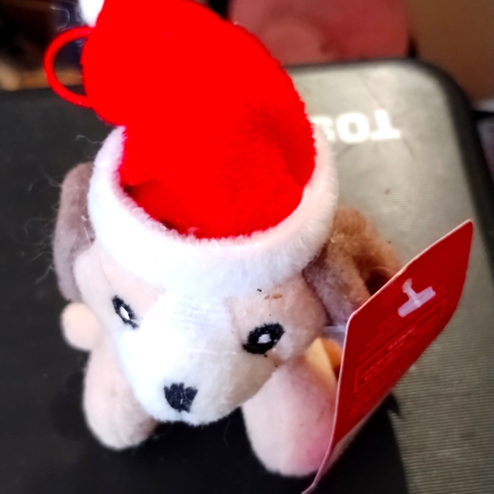 Adorable little Santa puppy